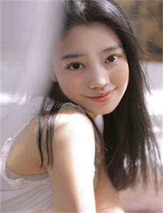山炮进城2